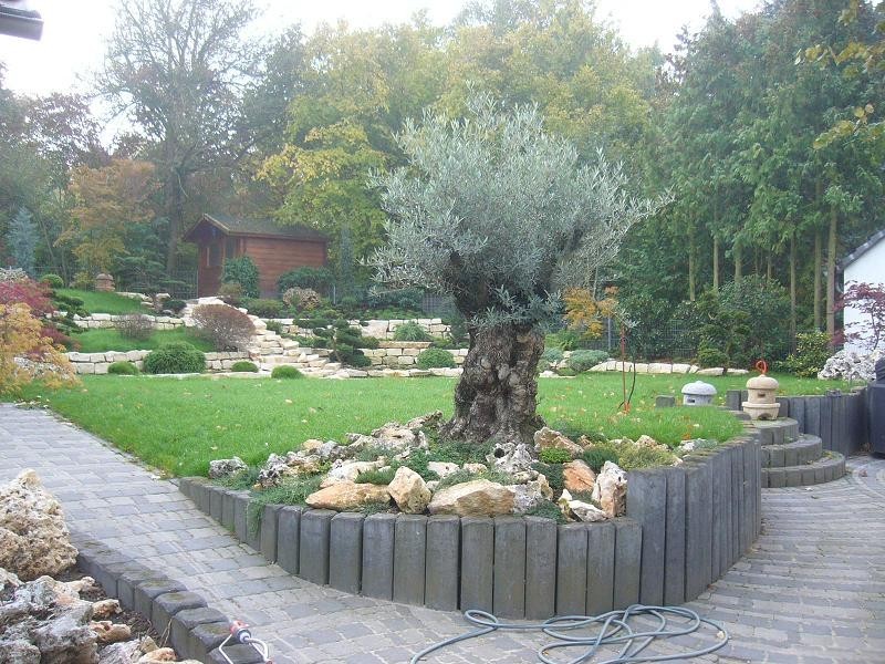 Gartengestaltung Zorn Saulheim
